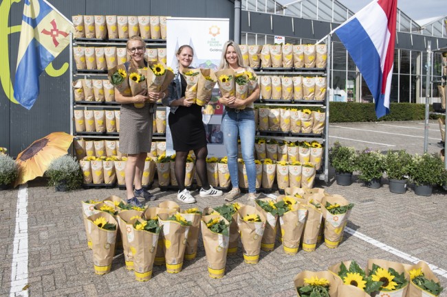 Zonnebloemen actie