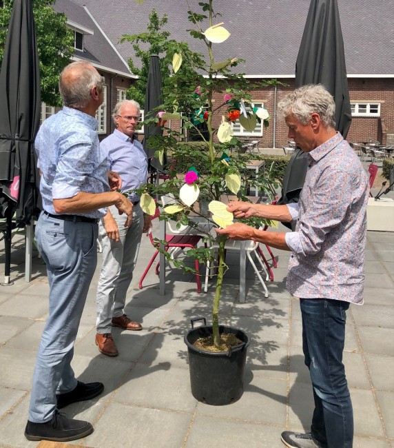 We gaan de eerste wensen onthullen!